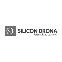 silicon drona - online coaching centre logo design hyderabad_grey